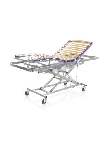 CAMA ELECTRICA ELEVADORA