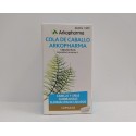 COLA DE CABALLO ARKOPHARMA 190 MG 200 CAPSULAS